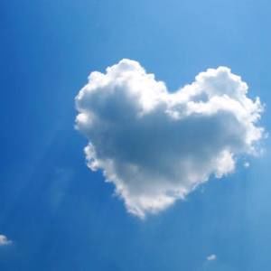 Meet your Posher, Griselda